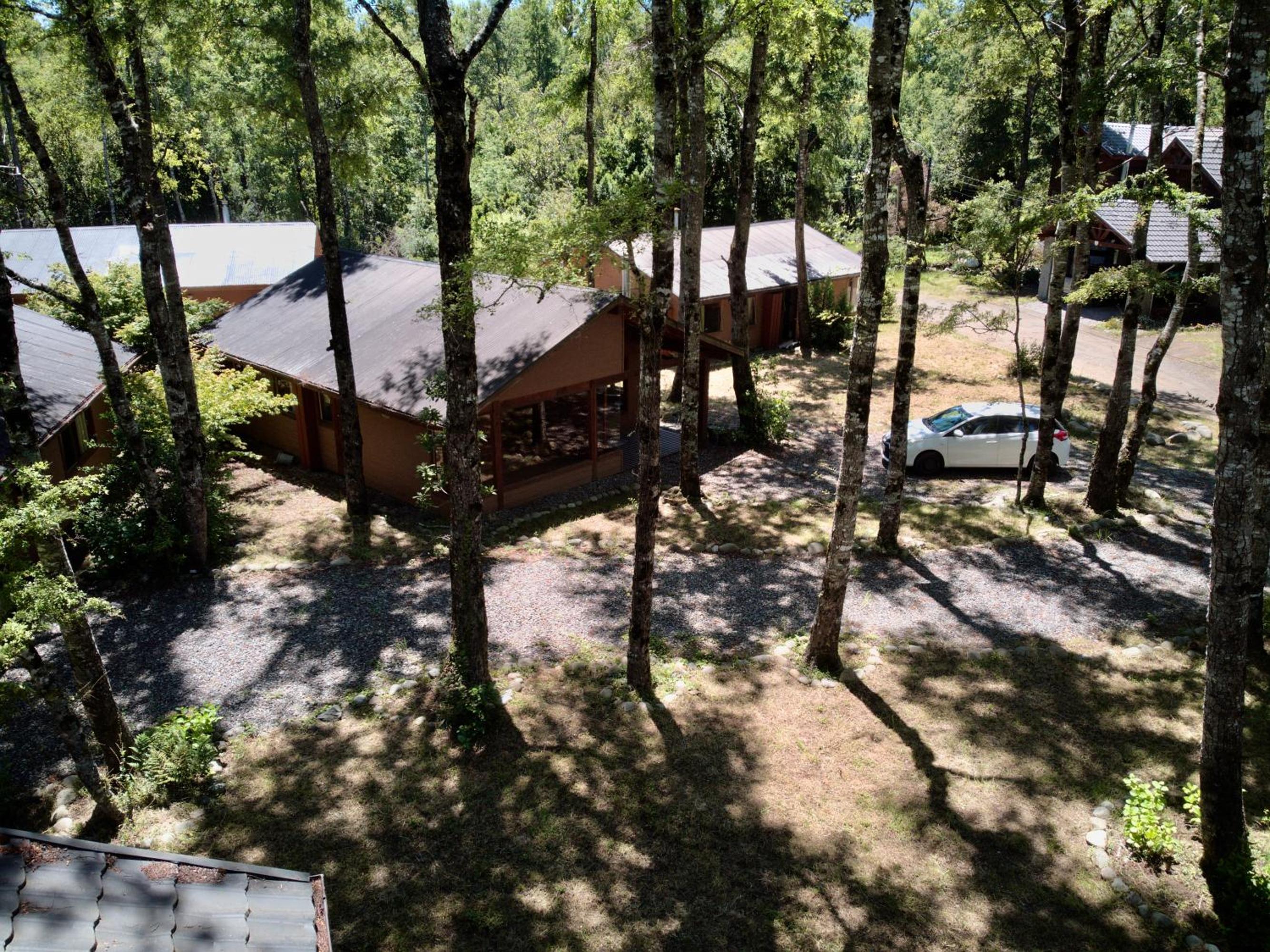 Vegetación nativa alrededor de las cabañas de Refugio Notro